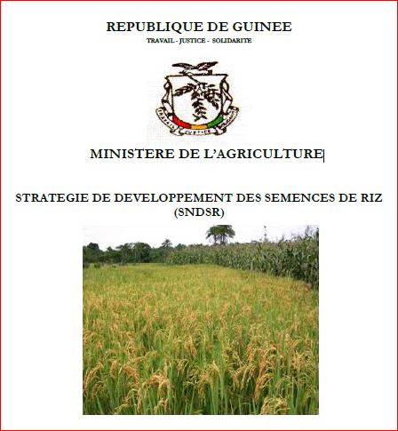 STRATEGIE DE DEVELOPPEMENT DES SEMENCES DE RIZ (SNDSR).GUINEE ...